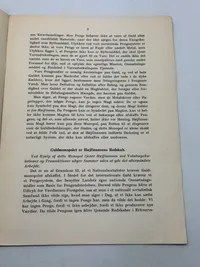 Originalt Sjældent D.N.S.A.P. propaganda hæfte WW2