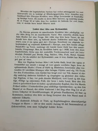 Originalt Sjældent D.N.S.A.P. propaganda hæfte WW2