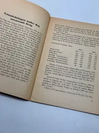 Originalt Sjældent D.N.S.A.P. propaganda hæfte WW2