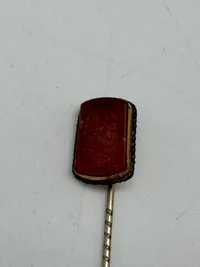 pin ZONE-REDNINGSKORPS