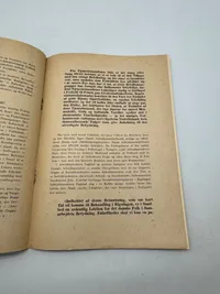 Originalt Sjældent D.N.S.A.P. propaganda hæfte WW2