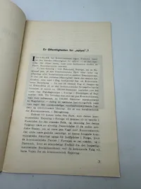Originalt Sjældent D.N.S.A.P. propaganda hæfte WW2