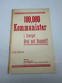 Originalt Sjældent D.N.S.A.P. propaganda hæfte WW2