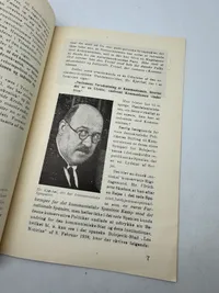 Originalt Sjældent D.N.S.A.P. propaganda hæfte WW2