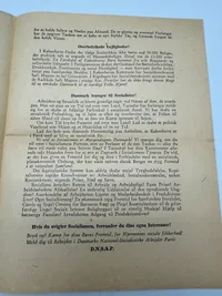 Original D.N.S.A.P. valgflyer WW2
