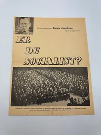 Original D.N.S.A.P. valgflyer WW2