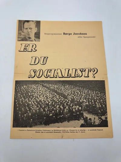 Original D.N.S.A.P. valgflyer WW2