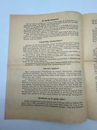 Original D.N.S.A.P. valgflyer WW2