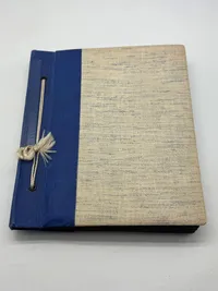 Originalt Tysk fotoalbum Luftwaffe Bla. Danmark 1940, gode fotos af forskellige fly