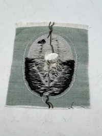 Sniper badge,tidlig bundeswehr ?