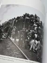 Jutlandia - beretninger fra sygeplejerskerne