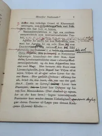 Sjældent originalt DNSAP hæfte - Hvorfor?