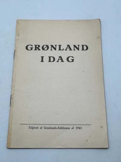 Sjældent originalt DNSAP hæfte