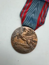 Original ITALY. Aeronautic Valour Medal. Republica. Bronze version