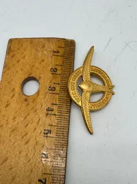 Kvindeligt flyver korps