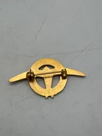 Kvindeligt flyver korps