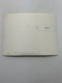 Originalt SS foto af Von Schalburg og frue, godt stemplet 17.5 cm x 12.5 cm