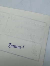 Originalt SS foto af Von Schalburg og frue, godt stemplet 17.5 cm x 12.5 cm