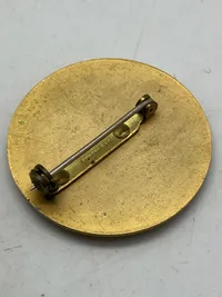 Original UN Emergency Force badge