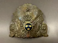 Svensk model 1886 hjelmplade