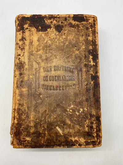 Original bibel fra 1875