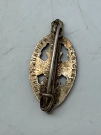 Original NSKOV badge - ww2