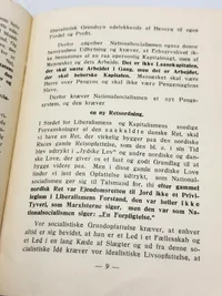 Sjælden original DNSAP flyer