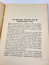 Sjælden original DNSAP flyer