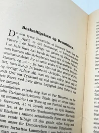Sjælden original DNSAP flyer