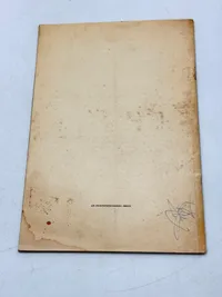 Sjælden original DNSAP flyer