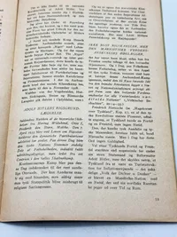 Sjælden original DNSAP flyer