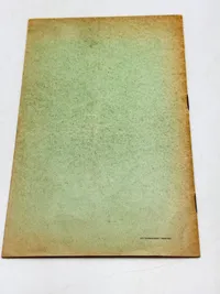 Sjælden original DNSAP flyer