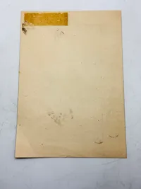 Sjælden original Waffen-SS hverveflyer (Frikorps Danmark)