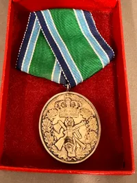 Hjv medallje af sølv 25 år oval
