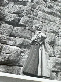 Originalt SS pressefoto Von Schalburg med frue