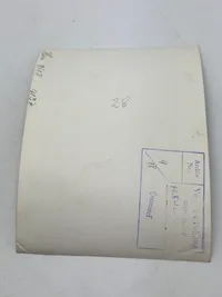 Originalt SS pressefoto Von Schalburg med frue