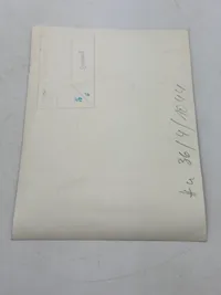 Originalt SS pressefoto Von Schalburg med frue