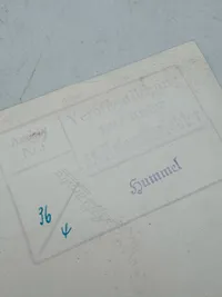 Originalt SS pressefoto Von Schalburg med frue