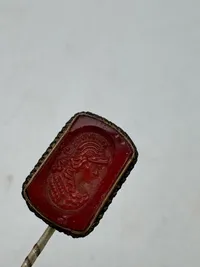 Signet lavet om til nål