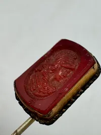Signet lavet om til nål