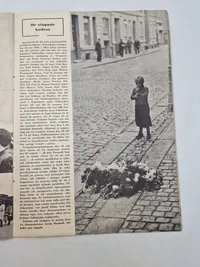 Samling originale illegale blade, ww2