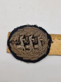 Originalt dansk blaser mærke  Sjællanske livregiment (Guldtræk)