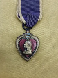 Original Purple Heart gruppe med æske