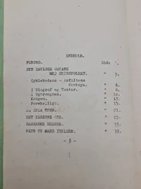 Originalt illegalt hæfte “Den kolde skulder”