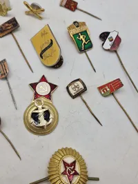 Samling diverse pins