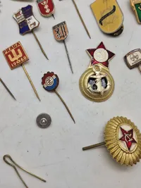 Samling diverse pins