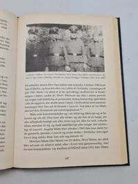 Stiftelsen. Bødlerne fra operation Reinhardt