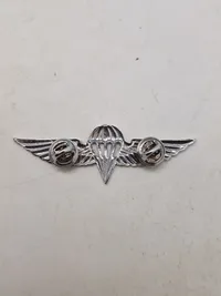 Samling diverse militære medaljer, vinger mm.
