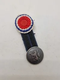 Samling diverse militære medaljer, vinger mm.