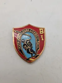 Samling diverse militære medaljer, vinger mm.